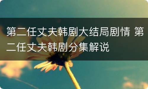 第二任丈夫韩剧大结局剧情 第二任丈夫韩剧分集解说