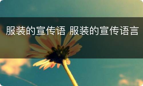服装的宣传语 服装的宣传语言