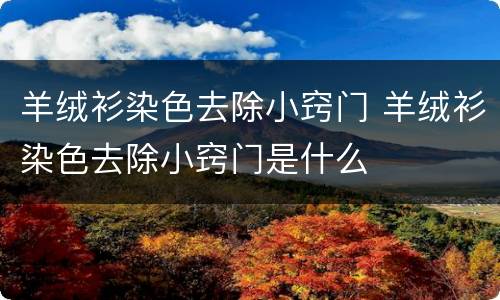 羊绒衫染色去除小窍门 羊绒衫染色去除小窍门是什么