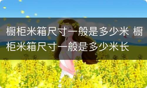 橱柜米箱尺寸一般是多少米 橱柜米箱尺寸一般是多少米长