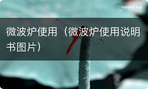 微波炉使用（微波炉使用说明书图片）