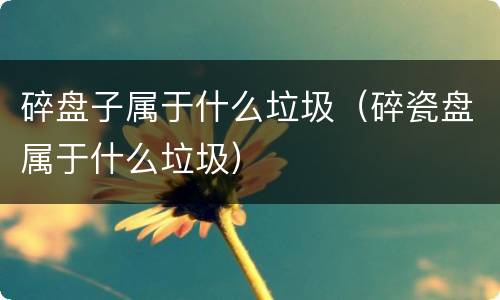 碎盘子属于什么垃圾（碎瓷盘属于什么垃圾）