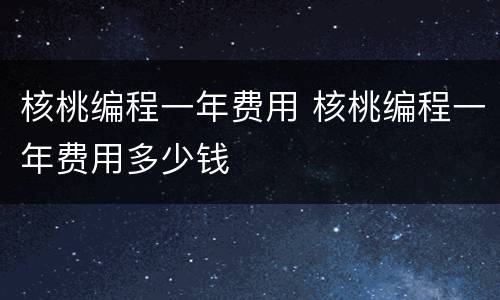 核桃编程一年费用 核桃编程一年费用多少钱