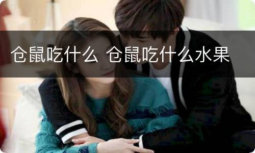 仓鼠吃什么 仓鼠吃什么水果