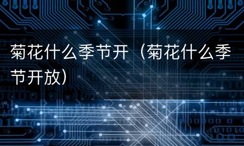菊花什么季节开（菊花什么季节开放）