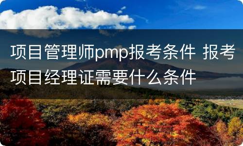 项目管理师pmp报考条件 报考项目经理证需要什么条件