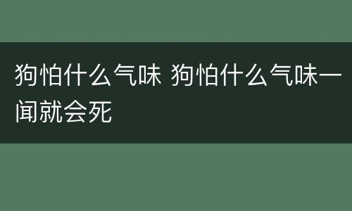 狗怕什么气味 狗怕什么气味一闻就会死