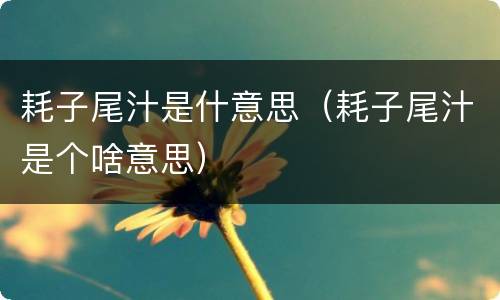 耗子尾汁是什意思（耗子尾汁是个啥意思）