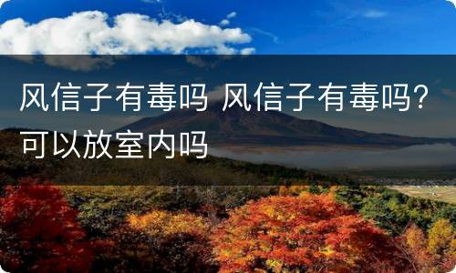 风信子有毒吗 风信子有毒吗?可以放室内吗