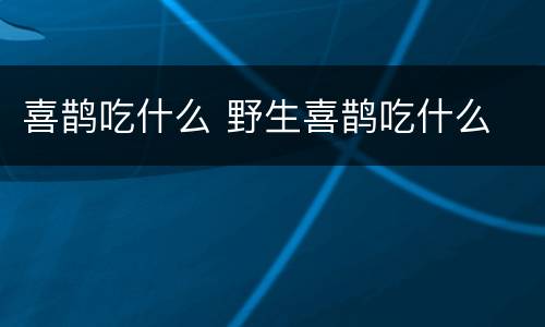 喜鹊吃什么 野生喜鹊吃什么