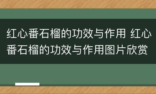 红心番石榴的功效与作用 红心番石榴的功效与作用图片欣赏