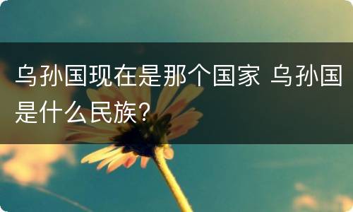 乌孙国现在是那个国家 乌孙国是什么民族?