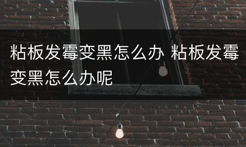 粘板发霉变黑怎么办 粘板发霉变黑怎么办呢