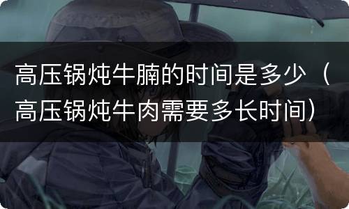 高压锅炖牛腩的时间是多少（高压锅炖牛肉需要多长时间）