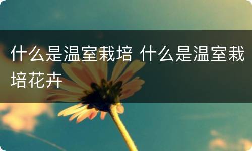 什么是温室栽培 什么是温室栽培花卉
