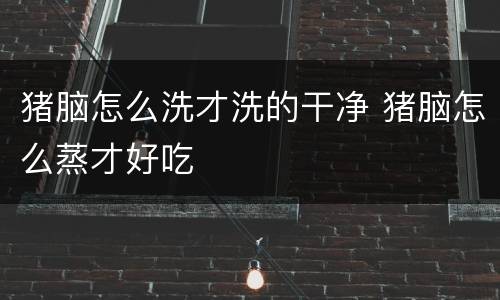 猪脑怎么洗才洗的干净 猪脑怎么蒸才好吃