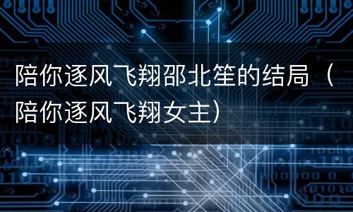 陪你逐风飞翔邵北笙的结局（陪你逐风飞翔女主）