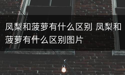 凤梨和菠萝有什么区别 凤梨和菠萝有什么区别图片