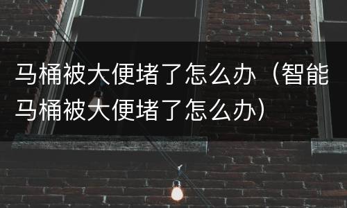 马桶被大便堵了怎么办（智能马桶被大便堵了怎么办）