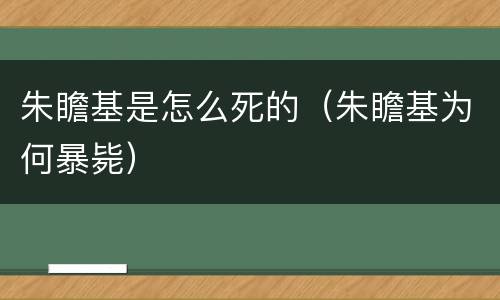 朱瞻基是怎么死的（朱瞻基为何暴毙）