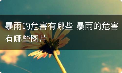 暴雨的危害有哪些 暴雨的危害有哪些图片