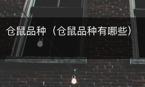 仓鼠品种（仓鼠品种有哪些）
