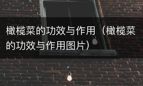 橄榄菜的功效与作用（橄榄菜的功效与作用图片）