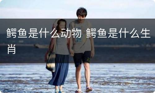鳄鱼是什么动物 鳄鱼是什么生肖