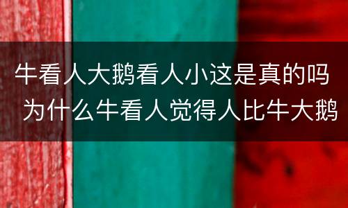牛看人大鹅看人小这是真的吗 为什么牛看人觉得人比牛大鹅看人觉得人比鹅小