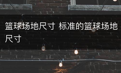 篮球场地尺寸 标准的篮球场地尺寸