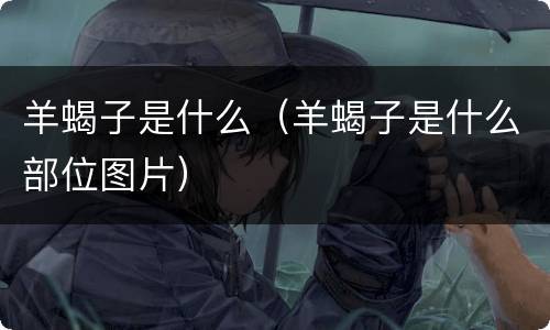 羊蝎子是什么（羊蝎子是什么部位图片）