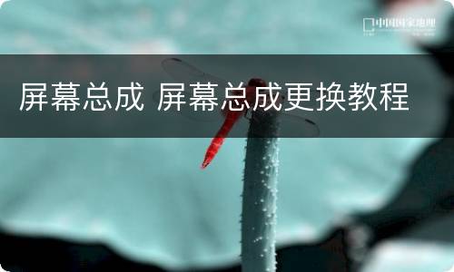 屏幕总成 屏幕总成更换教程