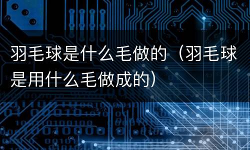 羽毛球是什么毛做的（羽毛球是用什么毛做成的）