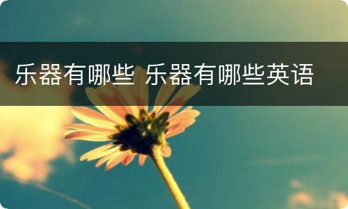 乐器有哪些 乐器有哪些英语