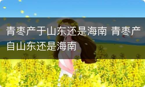 青枣产于山东还是海南 青枣产自山东还是海南
