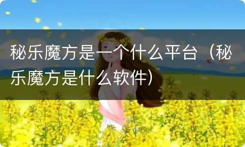 秘乐魔方是一个什么平台（秘乐魔方是什么软件）