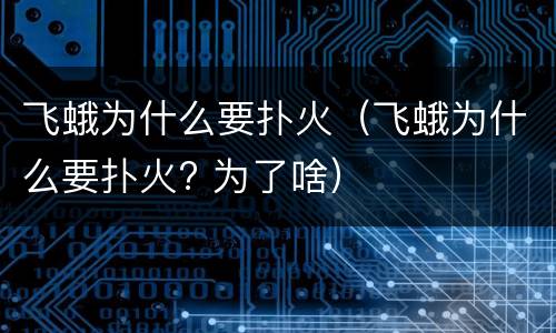 飞蛾为什么要扑火（飞蛾为什么要扑火? 为了啥）