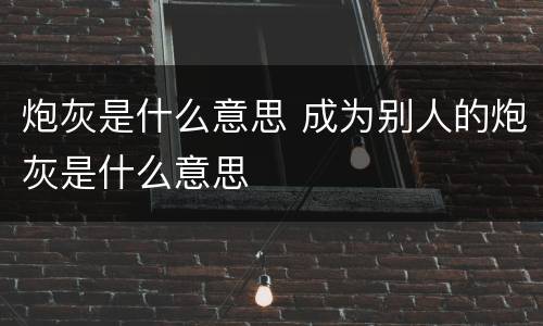 炮灰是什么意思 成为别人的炮灰是什么意思