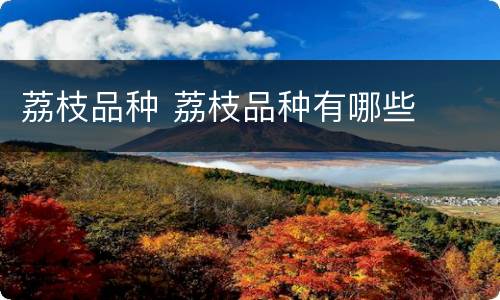 荔枝品种 荔枝品种有哪些