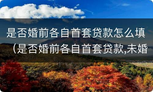 是否婚前各自首套贷款怎么填（是否婚前各自首套贷款,未婚怎么填）