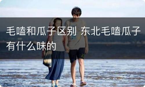 毛嗑和瓜子区别 东北毛嗑瓜子有什么味的