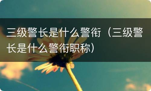 三级警长是什么警衔（三级警长是什么警衔职称）