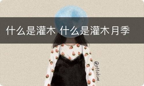 什么是灌木 什么是灌木月季