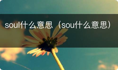 soul什么意思（sou什么意思）