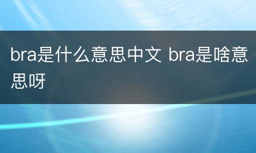 bra是什么意思中文 bra是啥意思呀