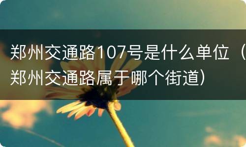 郑州交通路107号是什么单位（郑州交通路属于哪个街道）
