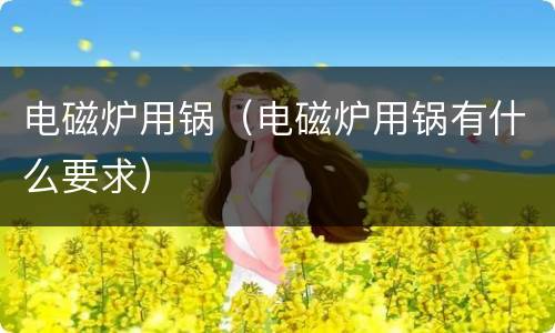 电磁炉用锅（电磁炉用锅有什么要求）