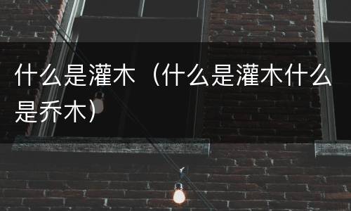 什么是灌木（什么是灌木什么是乔木）