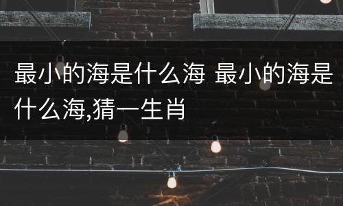 最小的海是什么海 最小的海是什么海,猜一生肖