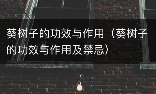 葵树子的功效与作用（葵树子的功效与作用及禁忌）